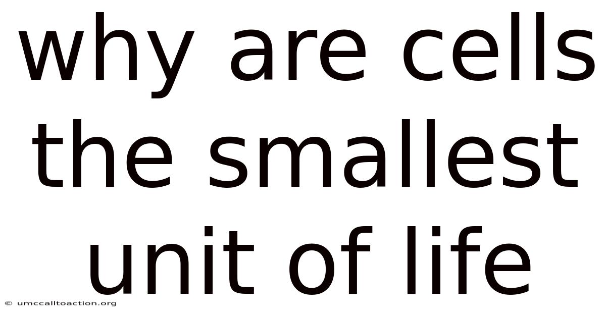 Why Are Cells The Smallest Unit Of Life
