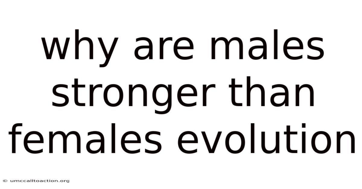 Why Are Males Stronger Than Females Evolution