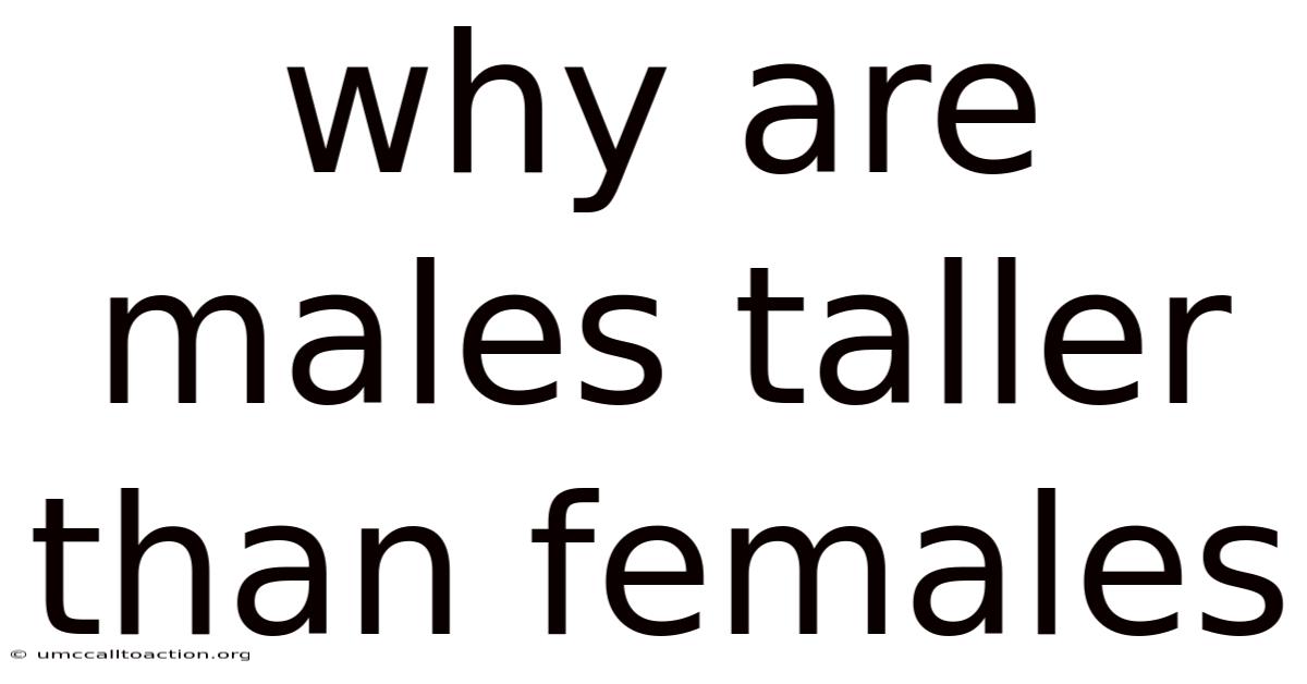 Why Are Males Taller Than Females