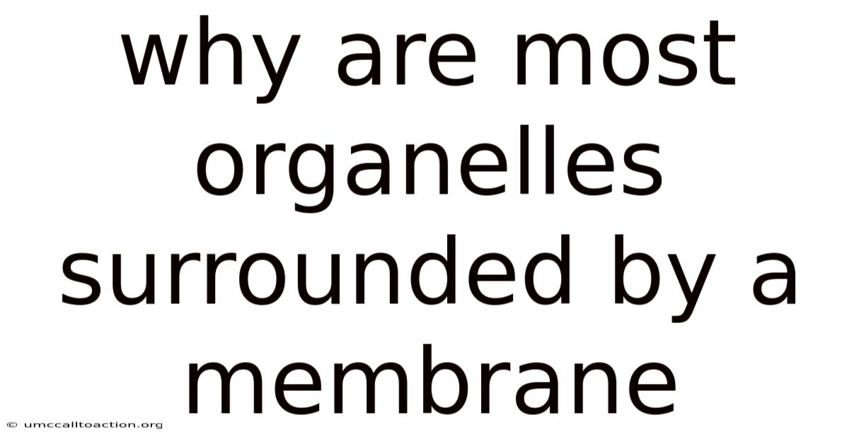 Why Are Most Organelles Surrounded By A Membrane