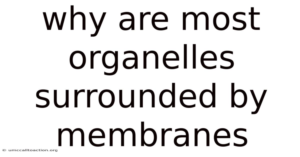Why Are Most Organelles Surrounded By Membranes