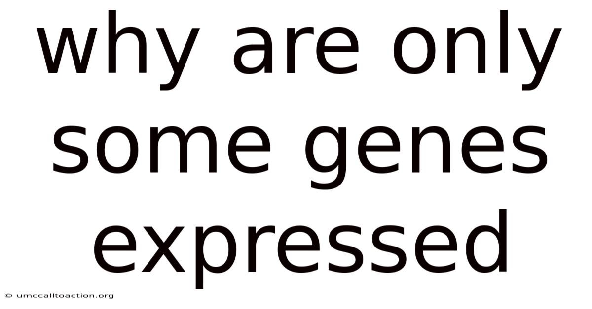 Why Are Only Some Genes Expressed