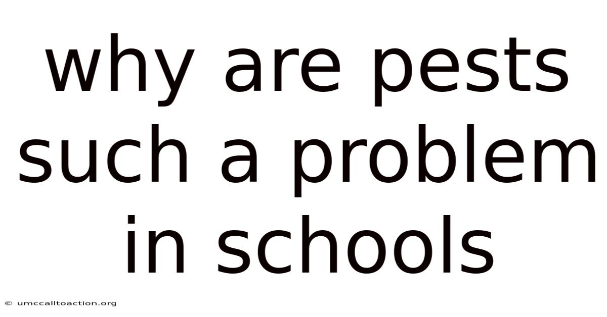Why Are Pests Such A Problem In Schools