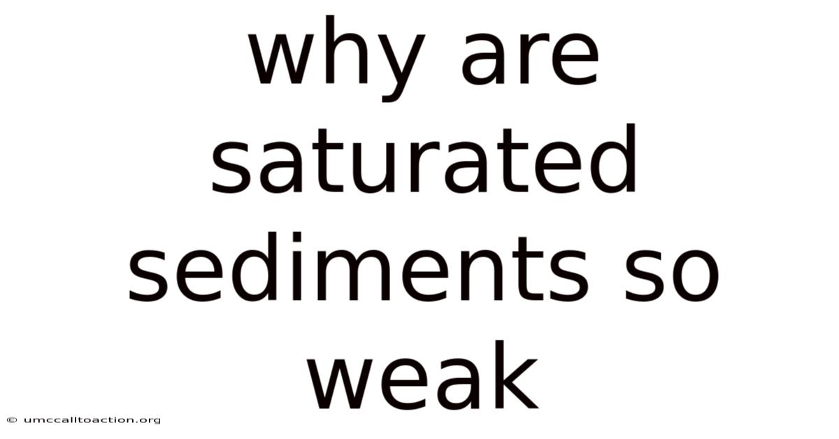 Why Are Saturated Sediments So Weak