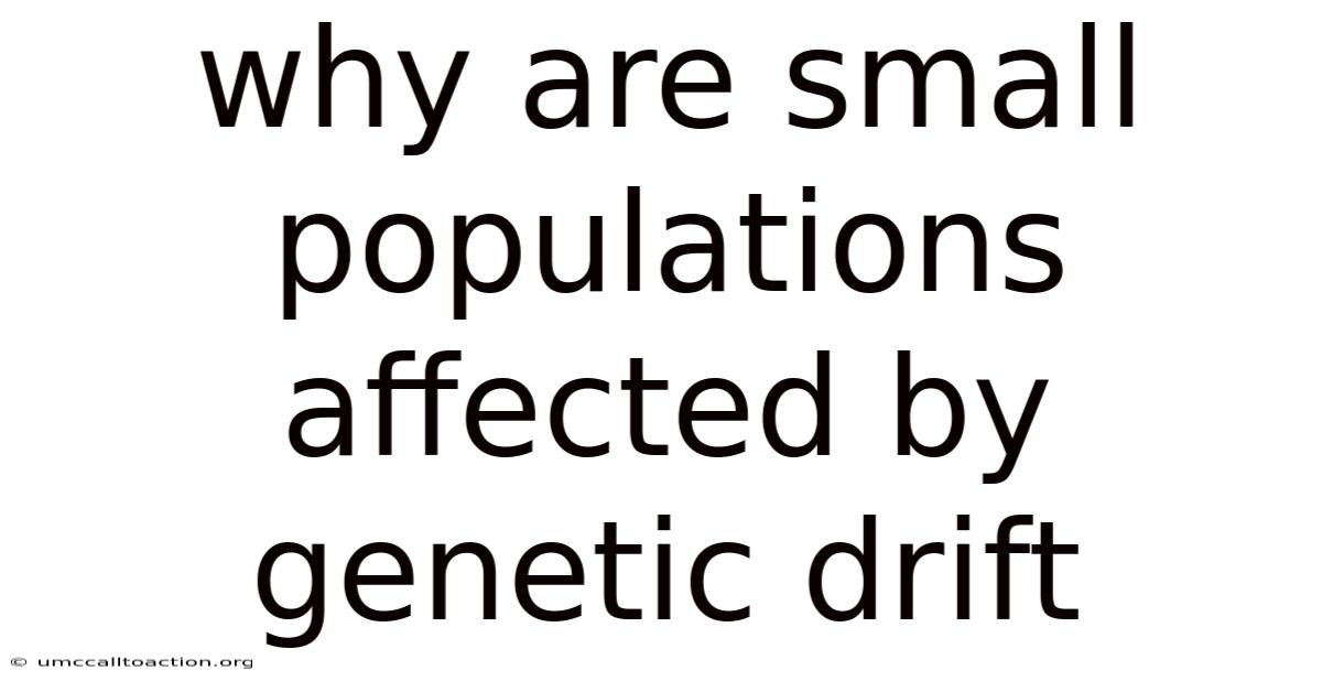 Why Are Small Populations Affected By Genetic Drift