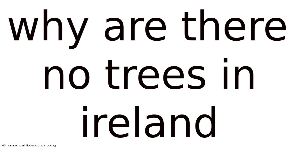 Why Are There No Trees In Ireland