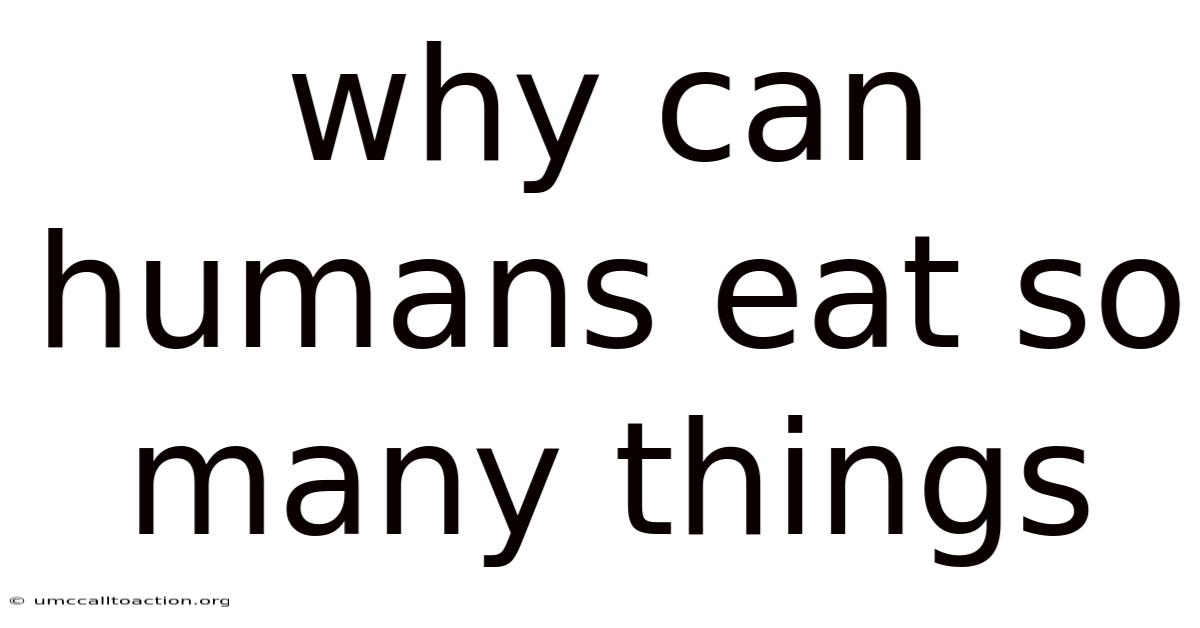 Why Can Humans Eat So Many Things