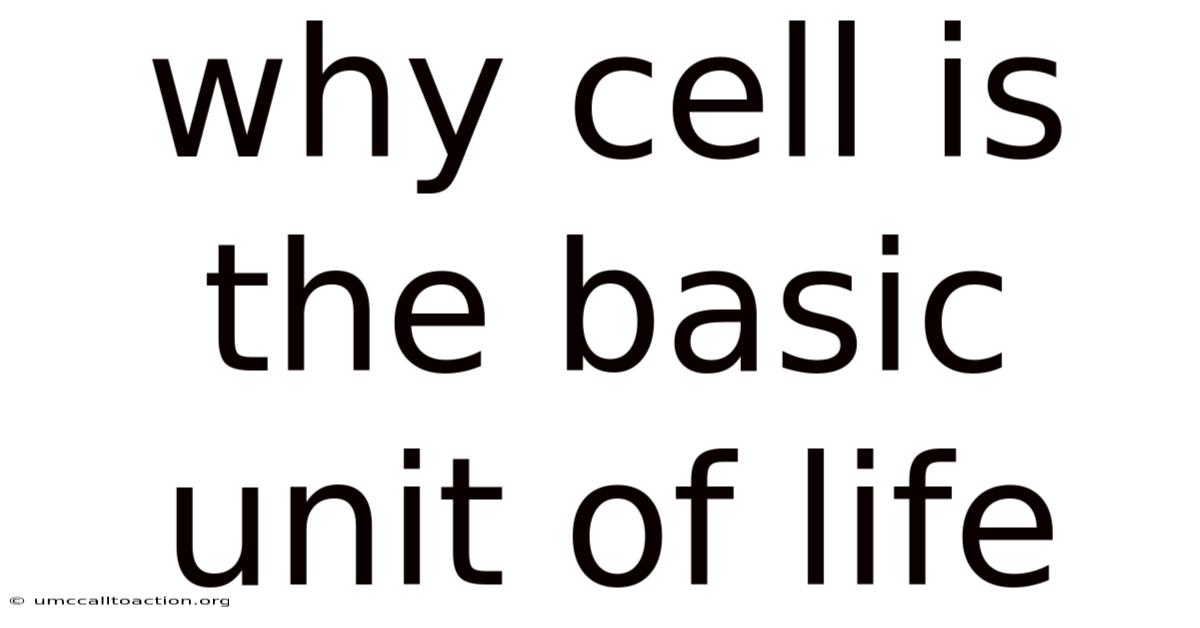Why Cell Is The Basic Unit Of Life