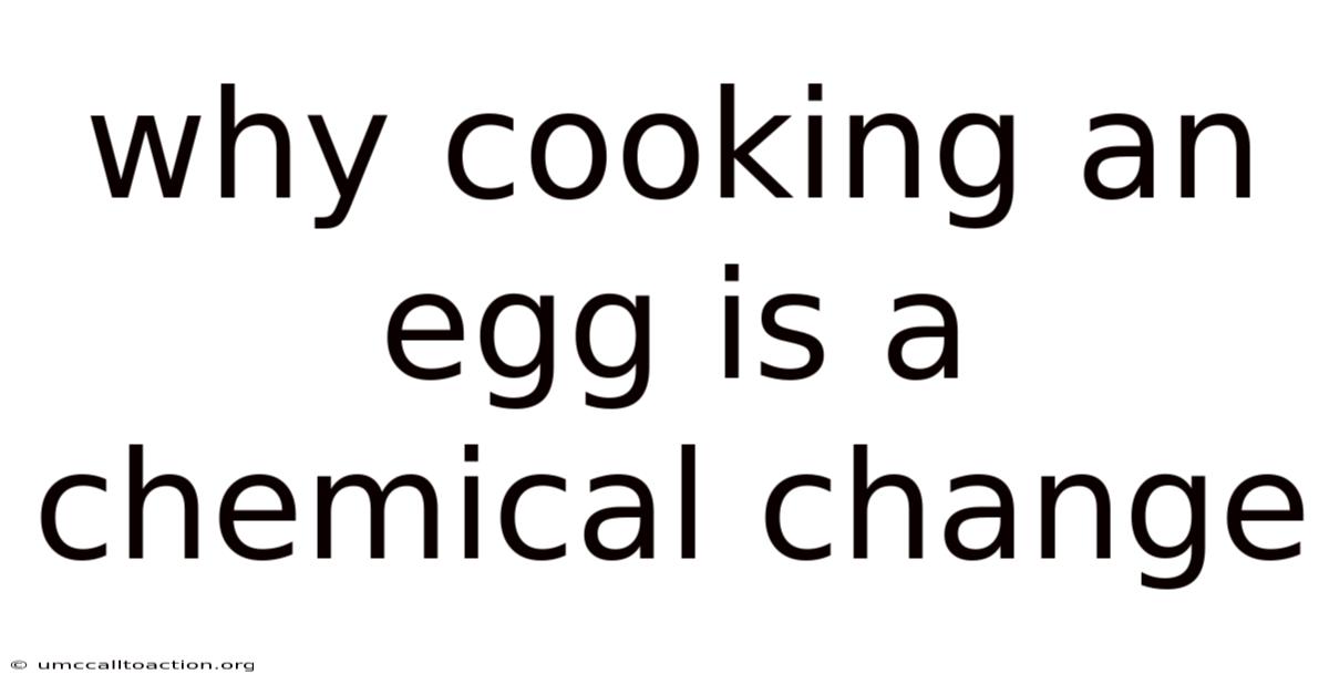 Why Cooking An Egg Is A Chemical Change