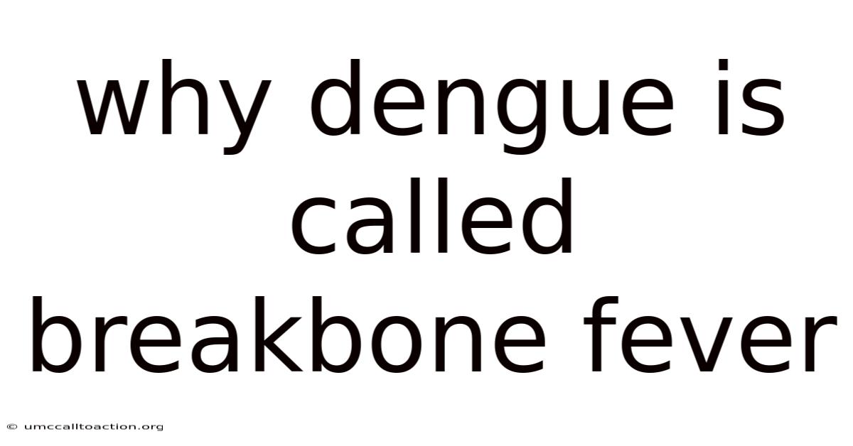 Why Dengue Is Called Breakbone Fever