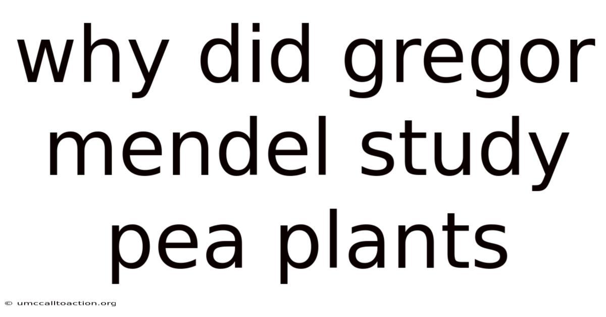 Why Did Gregor Mendel Study Pea Plants