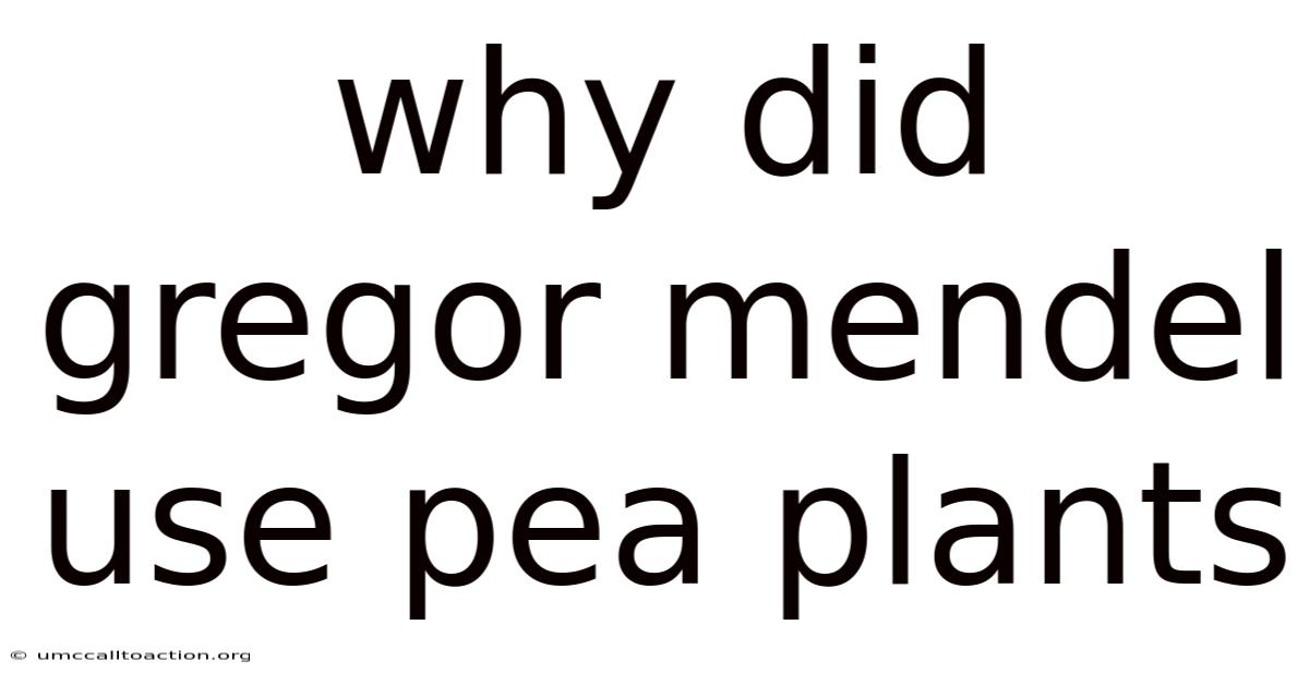 Why Did Gregor Mendel Use Pea Plants