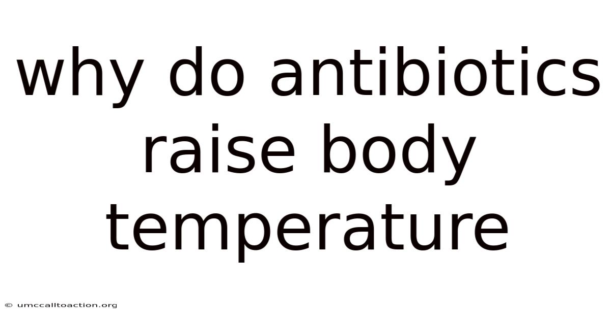 Why Do Antibiotics Raise Body Temperature