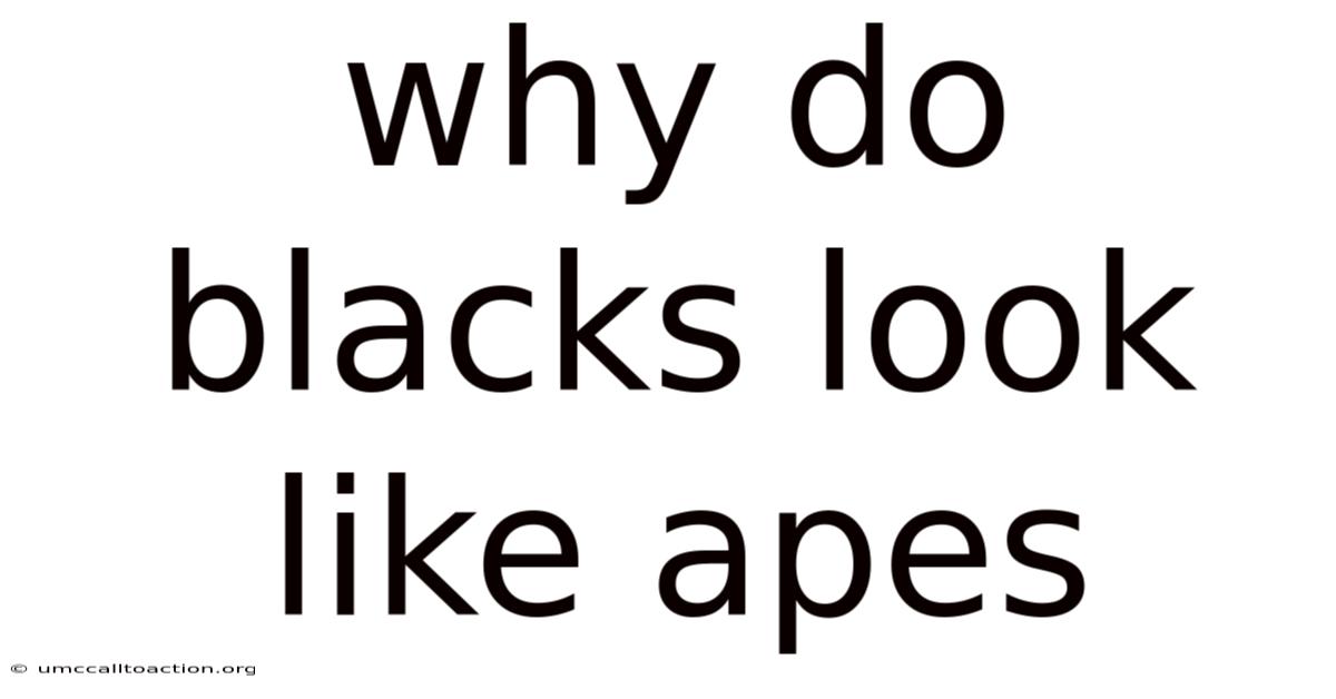 Why Do Blacks Look Like Apes