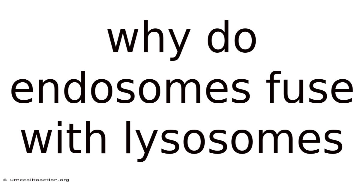 Why Do Endosomes Fuse With Lysosomes