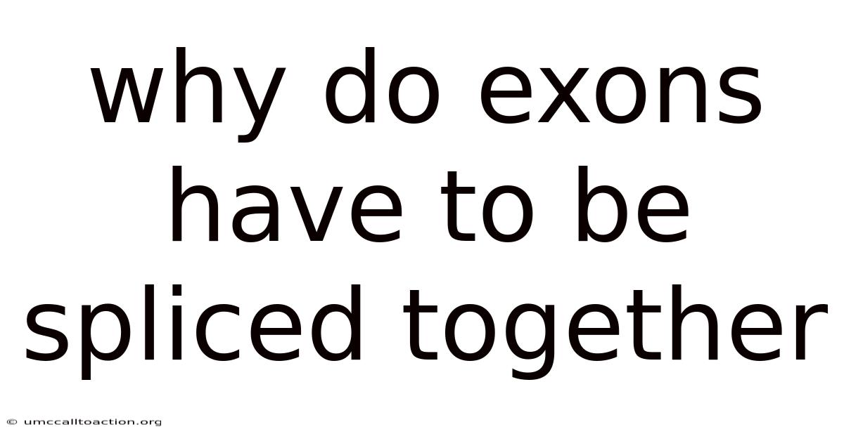 Why Do Exons Have To Be Spliced Together