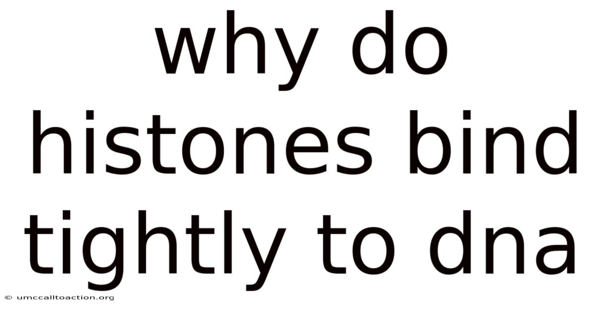 Why Do Histones Bind Tightly To Dna