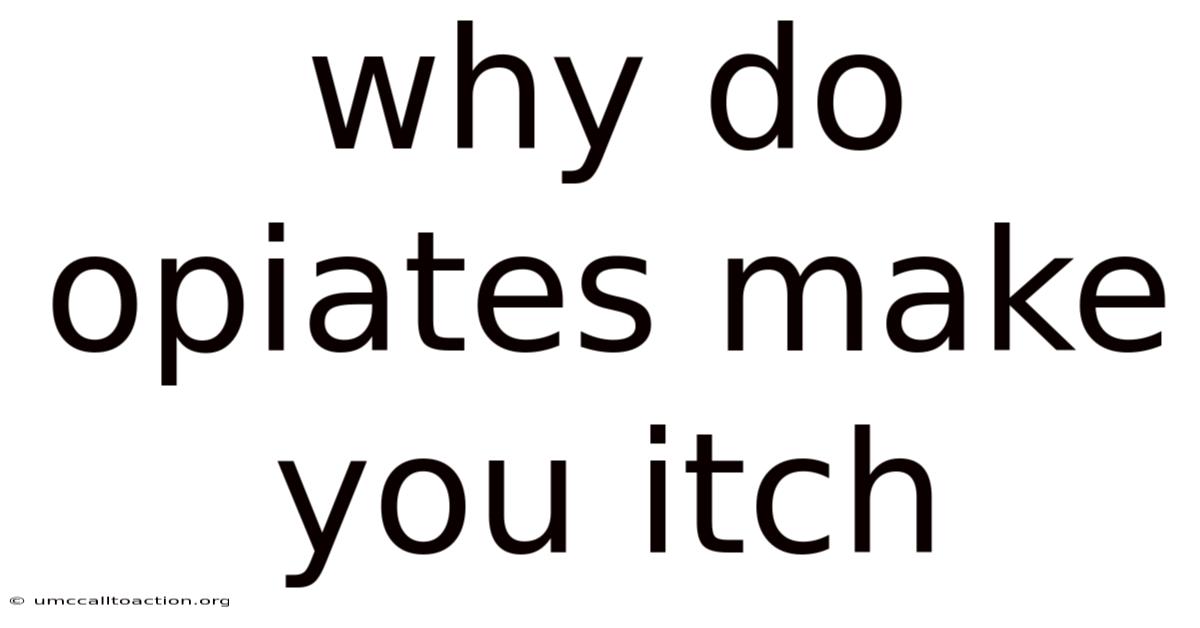Why Do Opiates Make You Itch
