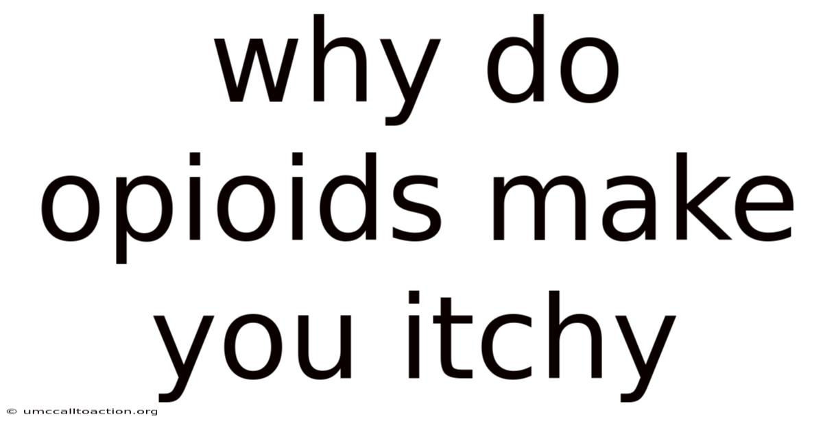 Why Do Opioids Make You Itchy
