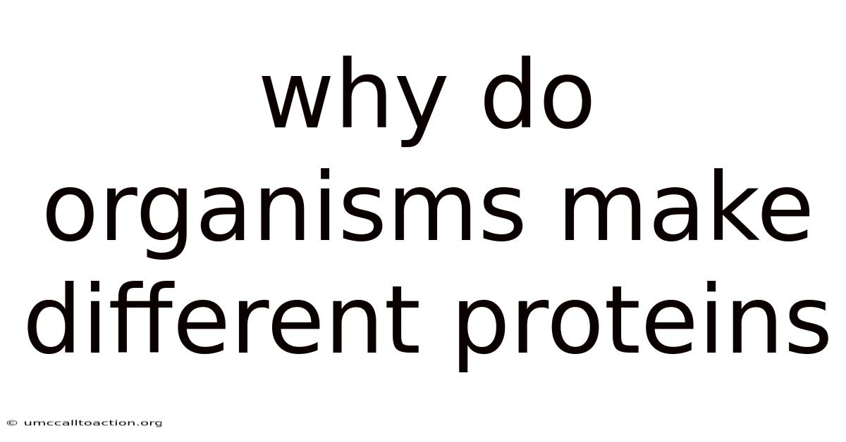 Why Do Organisms Make Different Proteins