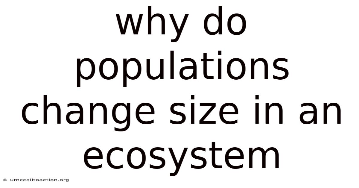 Why Do Populations Change Size In An Ecosystem