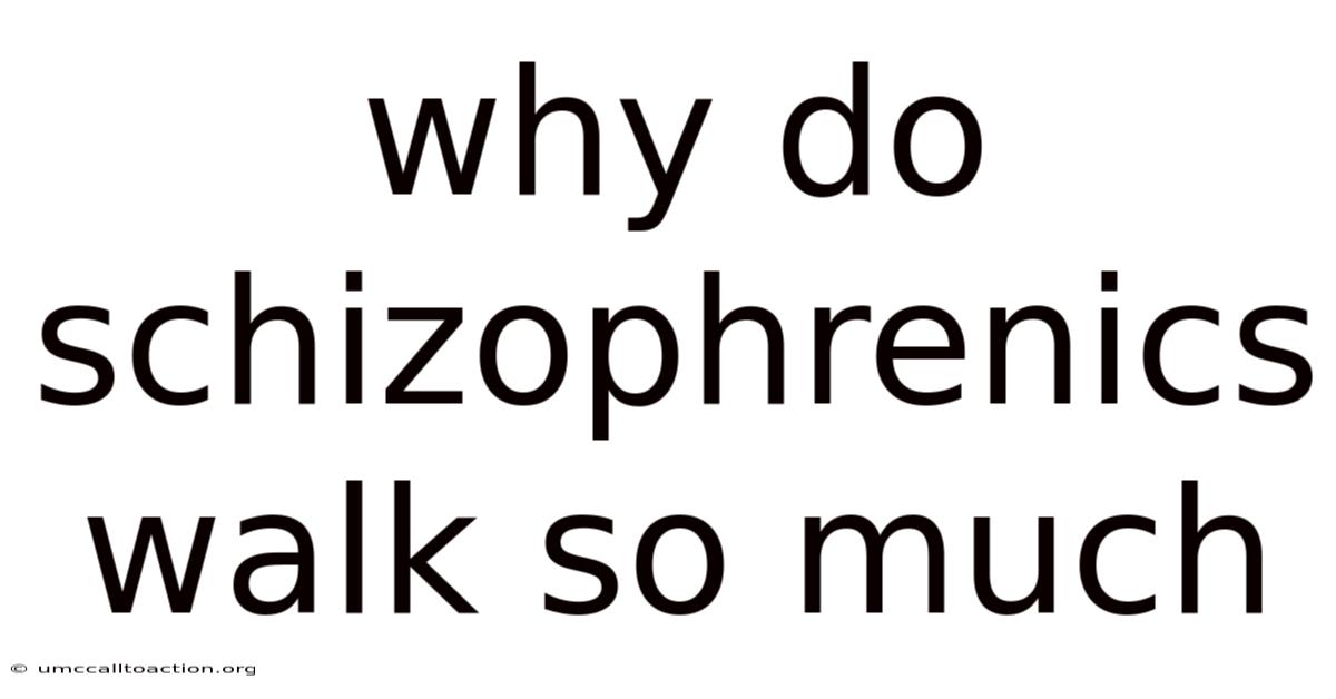 Why Do Schizophrenics Walk So Much