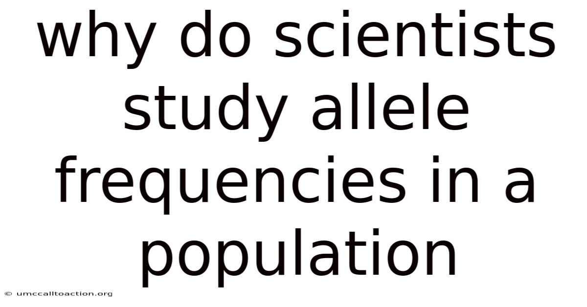 Why Do Scientists Study Allele Frequencies In A Population