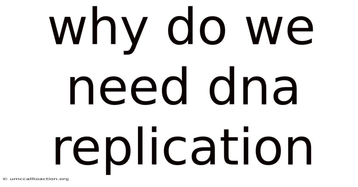 Why Do We Need Dna Replication