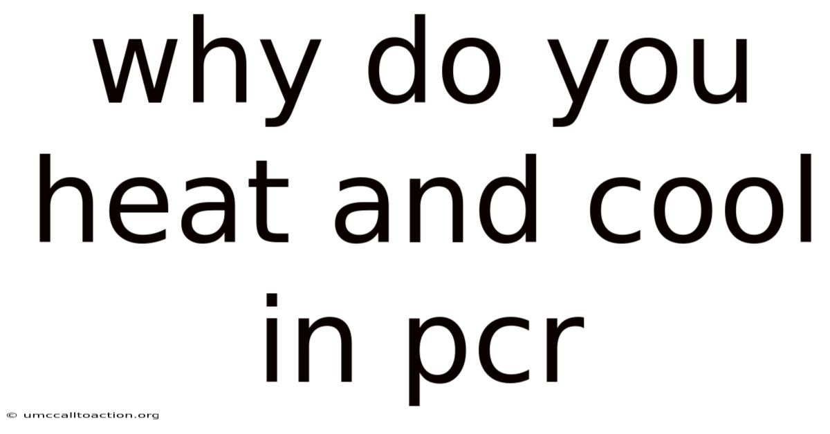Why Do You Heat And Cool In Pcr