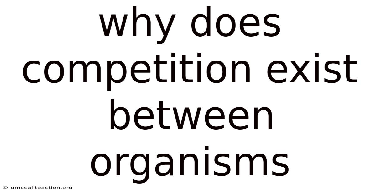 Why Does Competition Exist Between Organisms