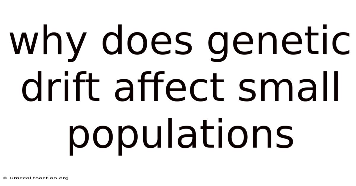 Why Does Genetic Drift Affect Small Populations