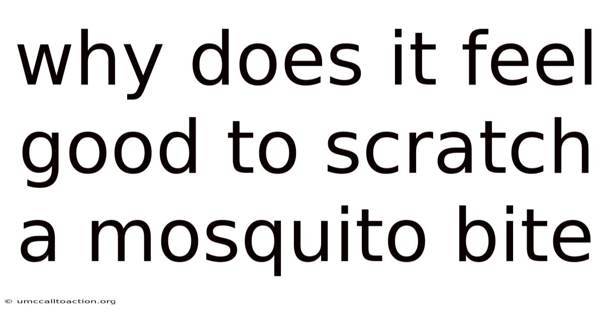 Why Does It Feel Good To Scratch A Mosquito Bite