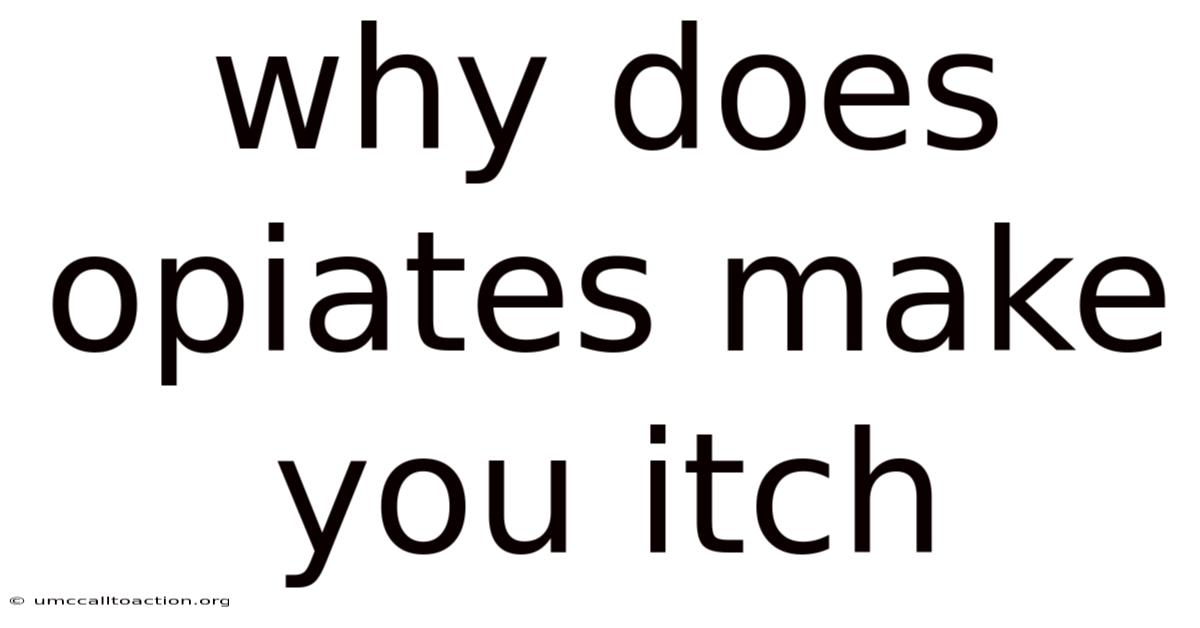 Why Does Opiates Make You Itch