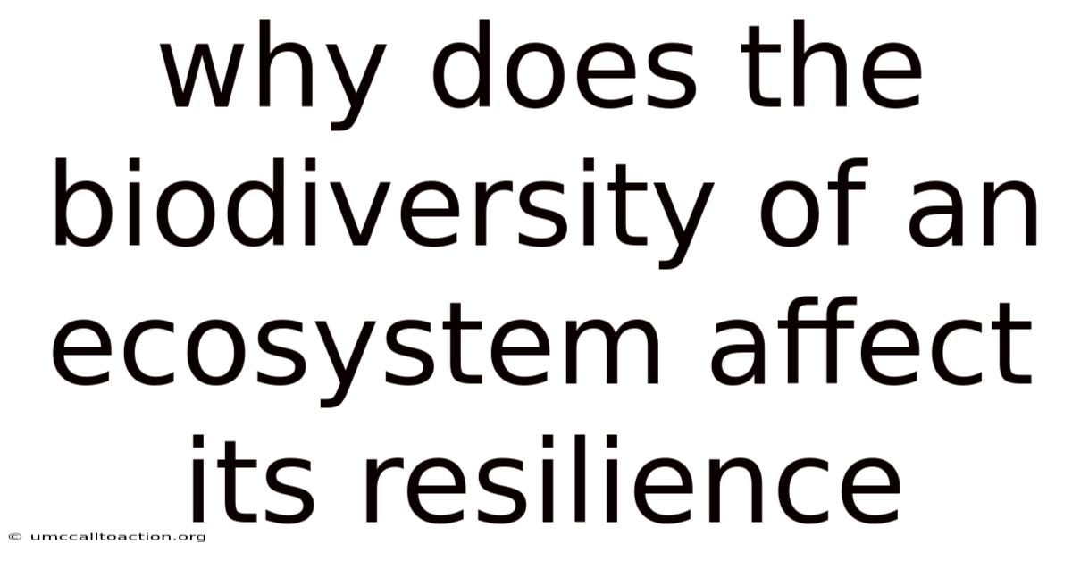 Why Does The Biodiversity Of An Ecosystem Affect Its Resilience