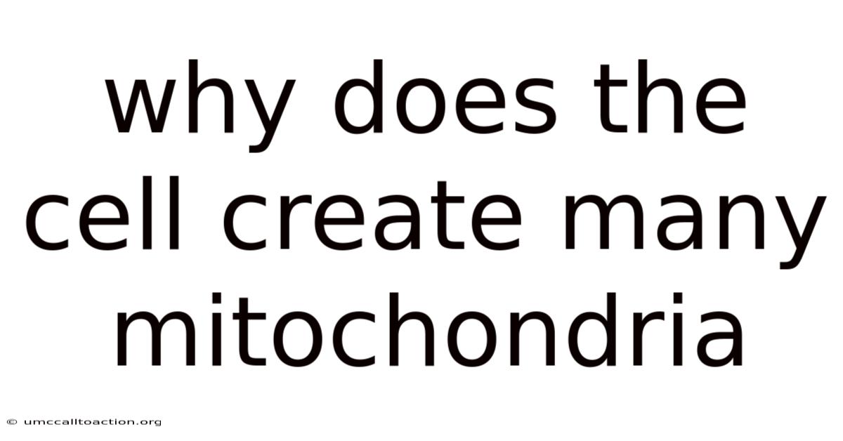 Why Does The Cell Create Many Mitochondria