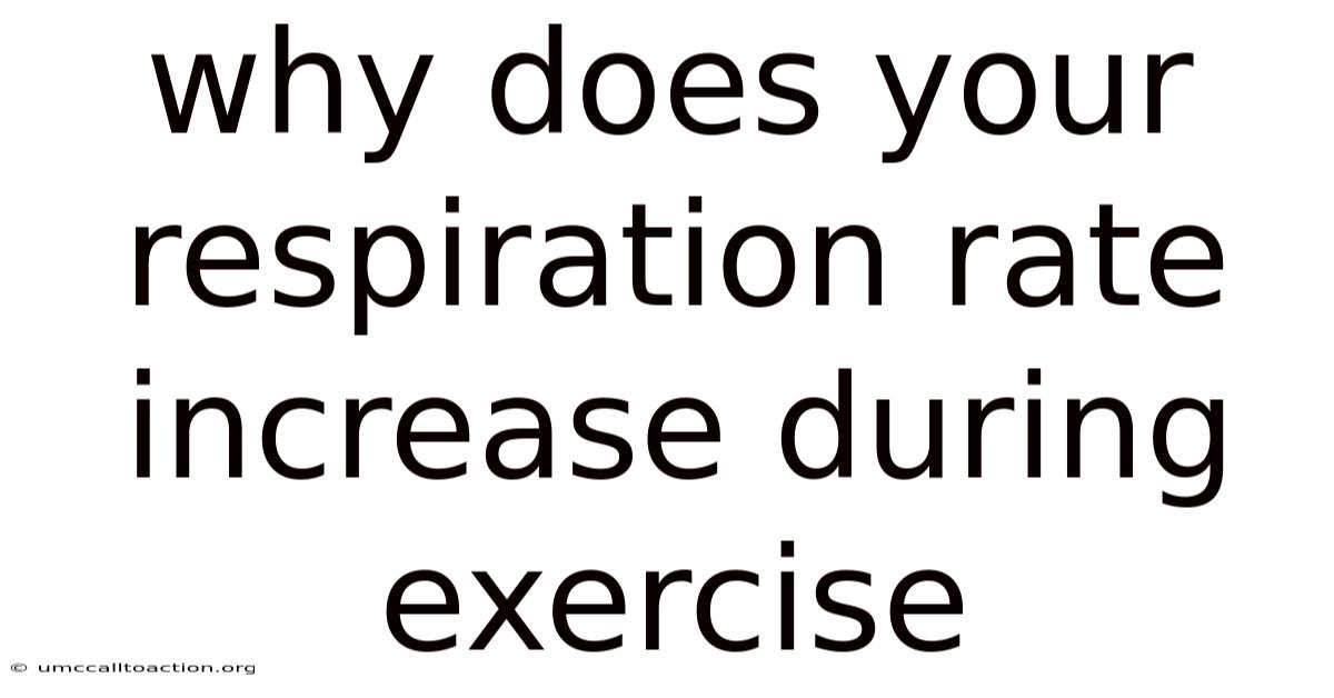 Why Does Your Respiration Rate Increase During Exercise