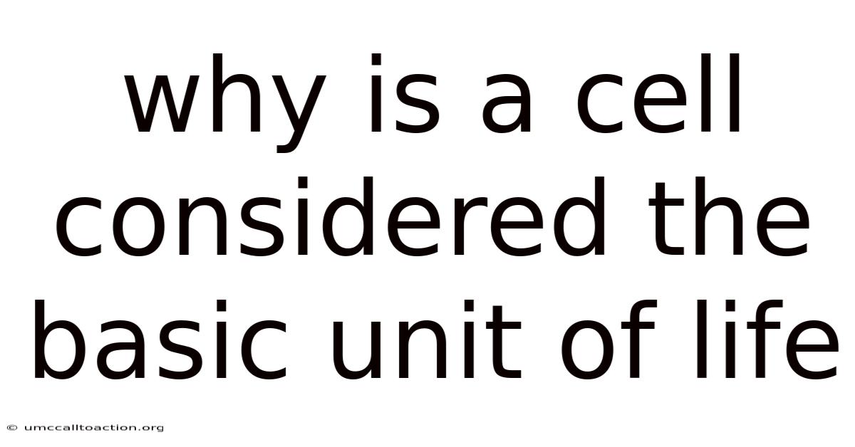 Why Is A Cell Considered The Basic Unit Of Life