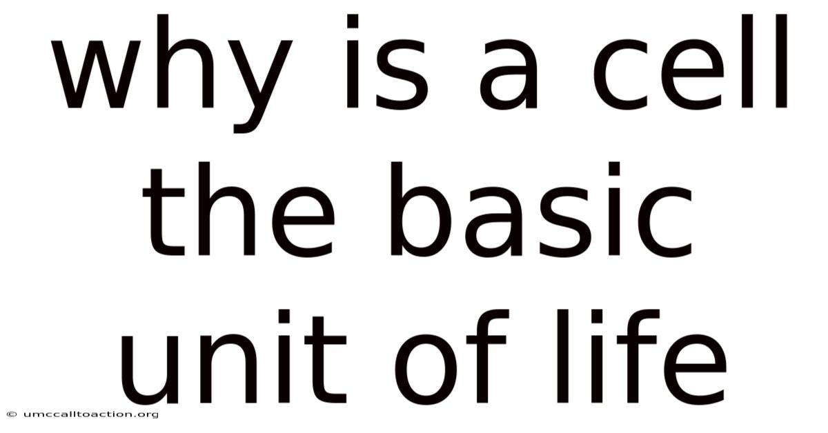 Why Is A Cell The Basic Unit Of Life