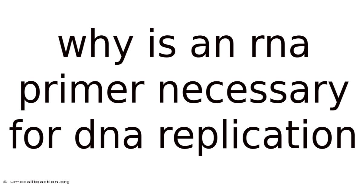 Why Is An Rna Primer Necessary For Dna Replication