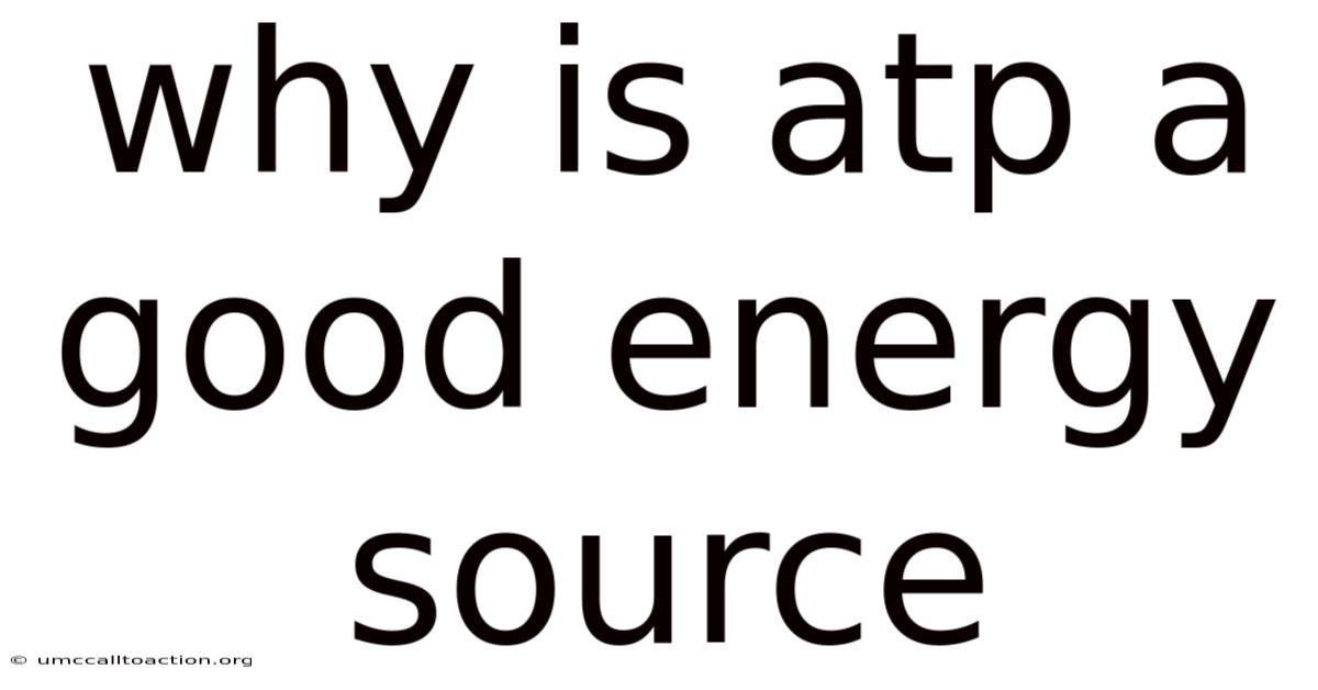 Why Is Atp A Good Energy Source