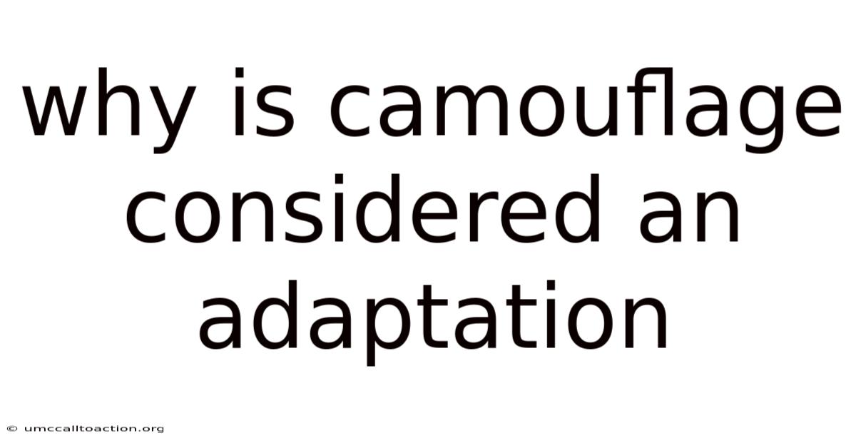 Why Is Camouflage Considered An Adaptation