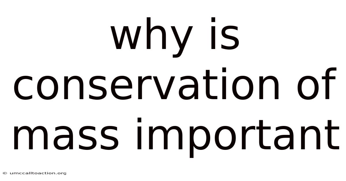 Why Is Conservation Of Mass Important