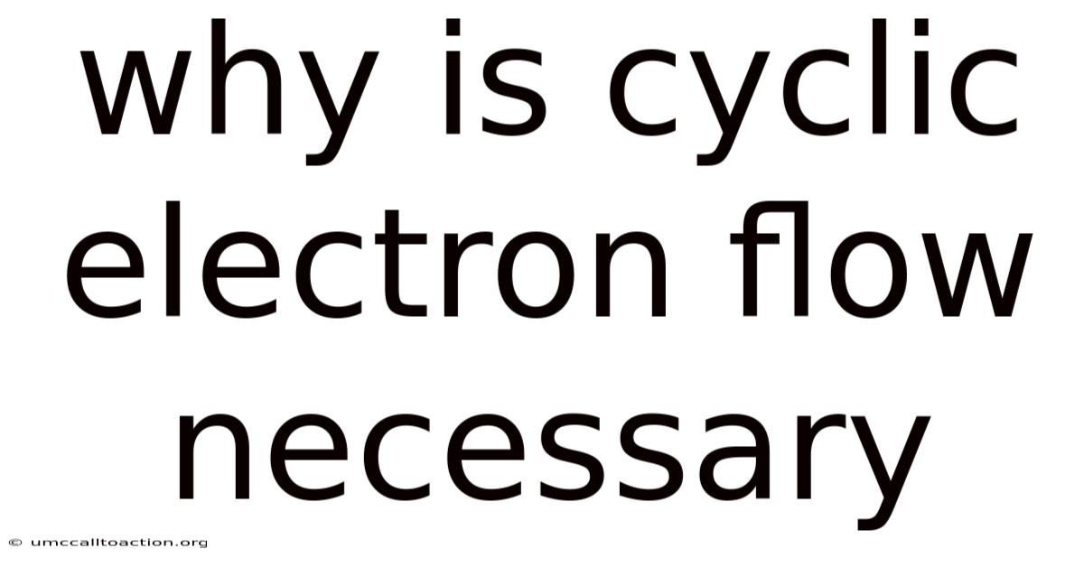 Why Is Cyclic Electron Flow Necessary