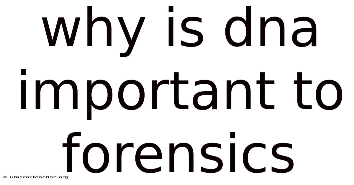 Why Is Dna Important To Forensics