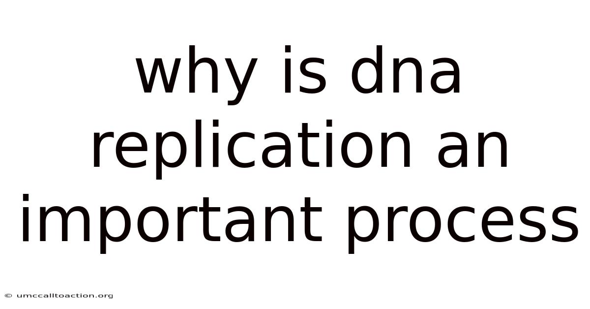 Why Is Dna Replication An Important Process