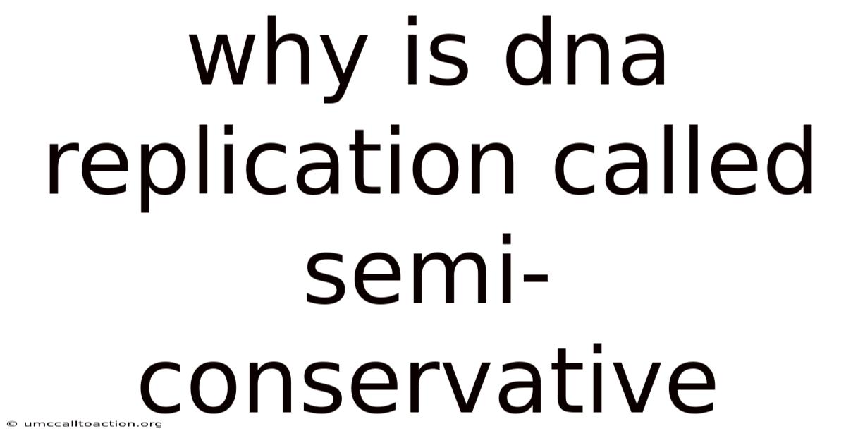 Why Is Dna Replication Called Semi-conservative