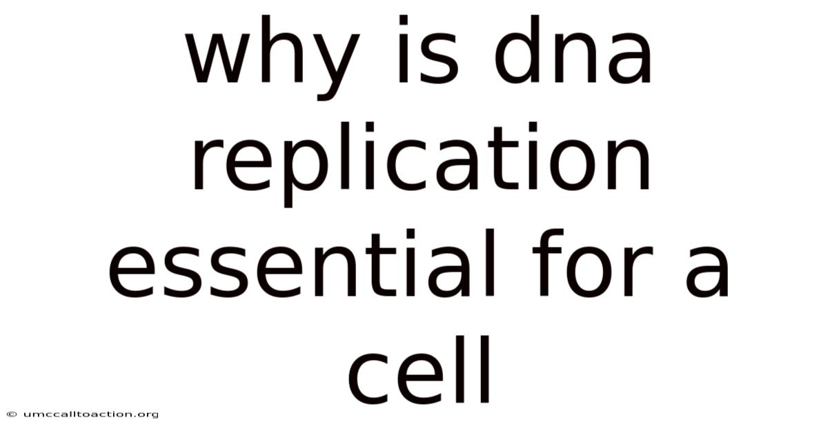 Why Is Dna Replication Essential For A Cell