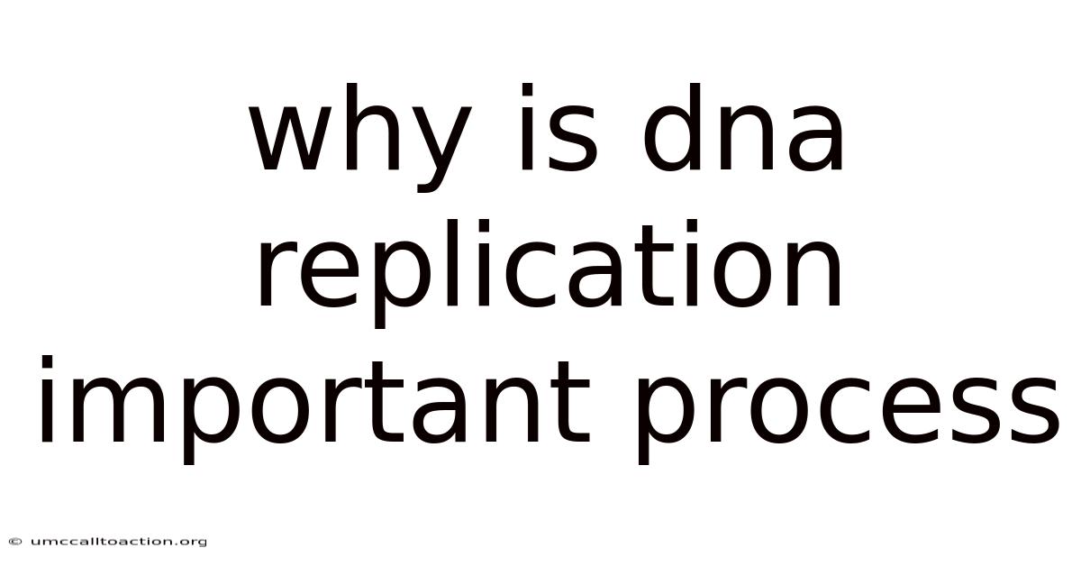 Why Is Dna Replication Important Process