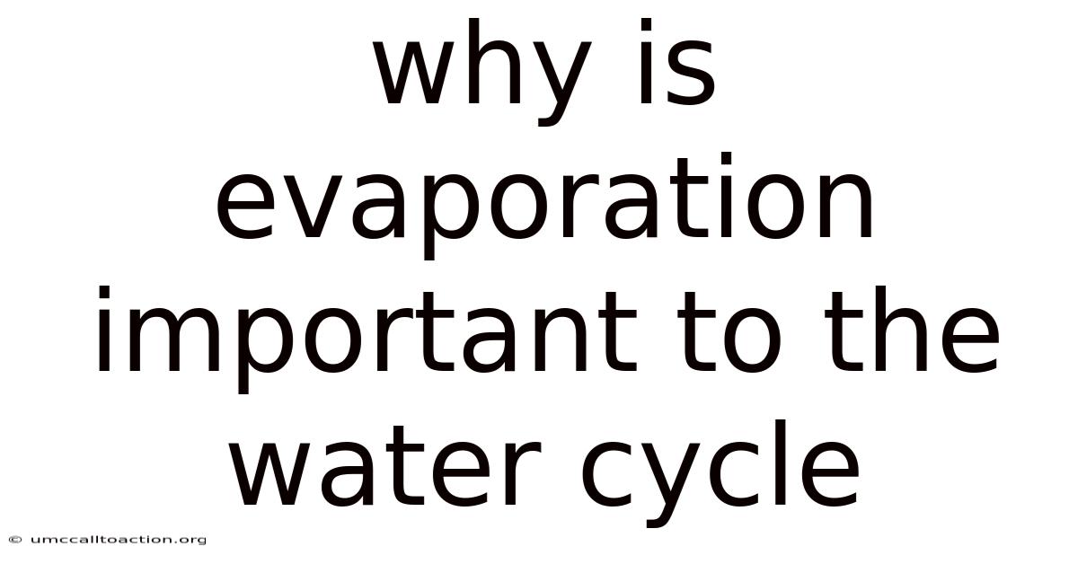 Why Is Evaporation Important To The Water Cycle