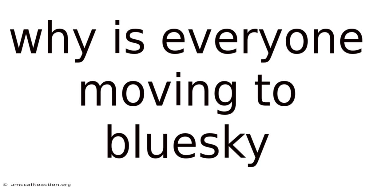 Why Is Everyone Moving To Bluesky